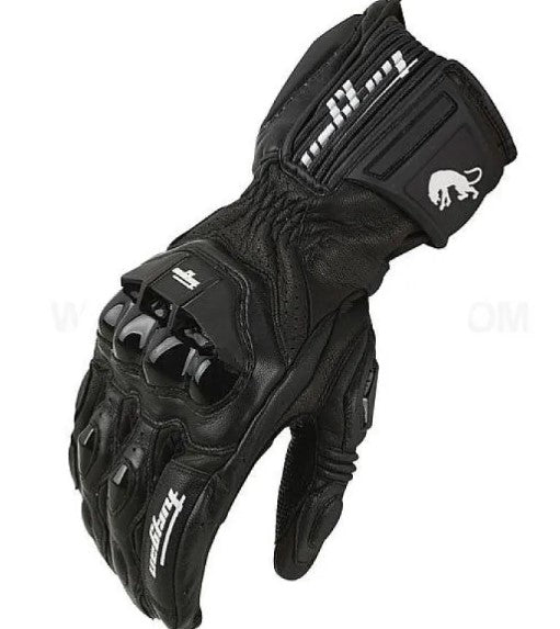 Jacket and Glove